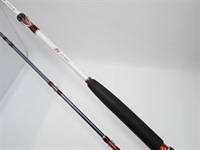 １７舳４０－３００